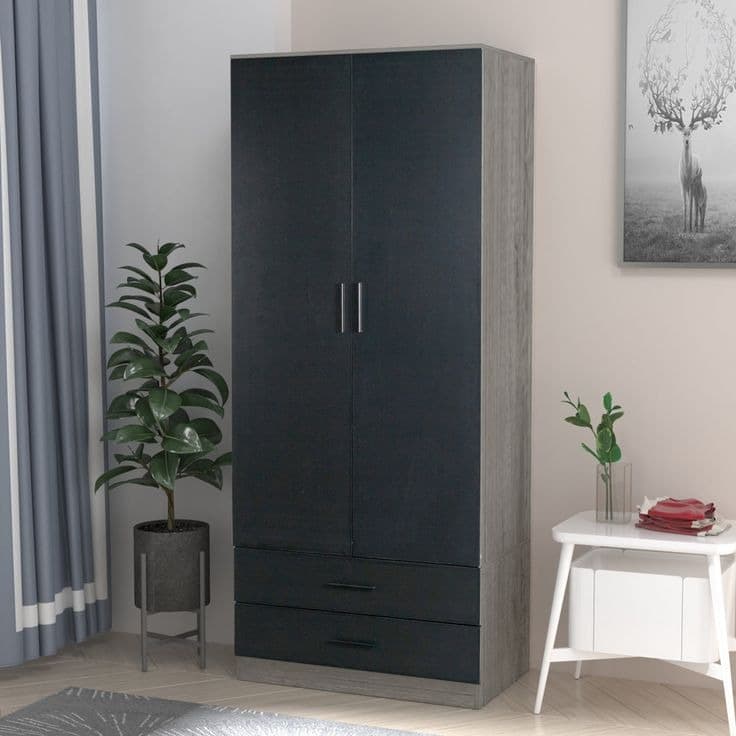 Gianpietro 2 Door Manufactured Wood Wardrobe - Dark Grey & Grey Oak